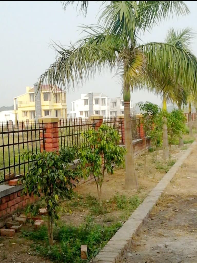 Palm Groove Community Area